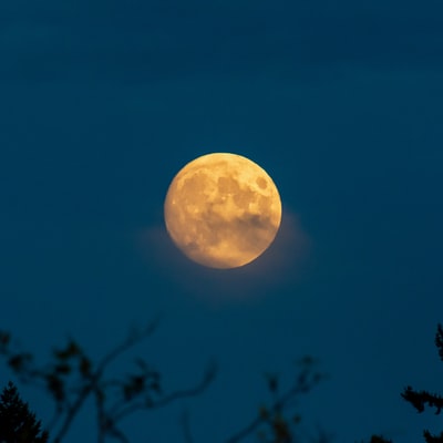 满月在夜间视图
